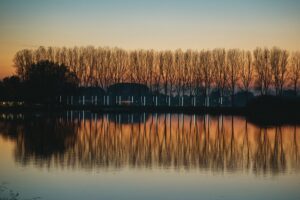 Een rij bomen weerspiegelt in een kalm meer bij zonsondergang, met witte lichtinstallaties die een lijn vormen tussen de bomen.