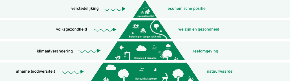 Infographic met thema's verstedelijking, volksgezondheid, klimaatverandering en afname biodiversiteit, weergegeven op een groene achtergrond met bijbehorende iconen.